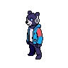 Writer