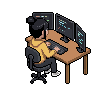 Programmer